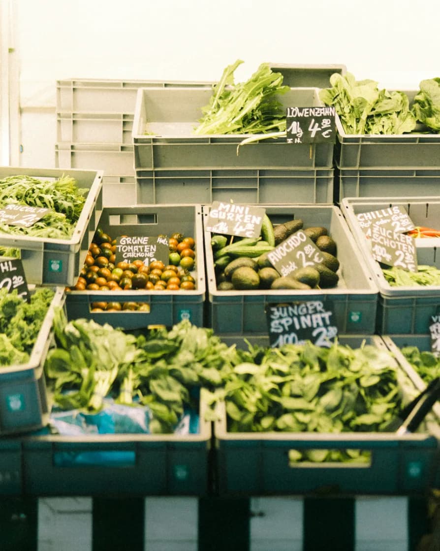 Mehrwegkisten mit Salat, Spinat, Tomaten und Avocados an einem Marktstand, beschriftet mit handgeschriebenen Preisschildern.